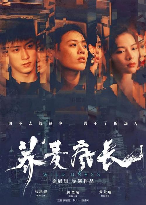 昂热大学设计学位证
